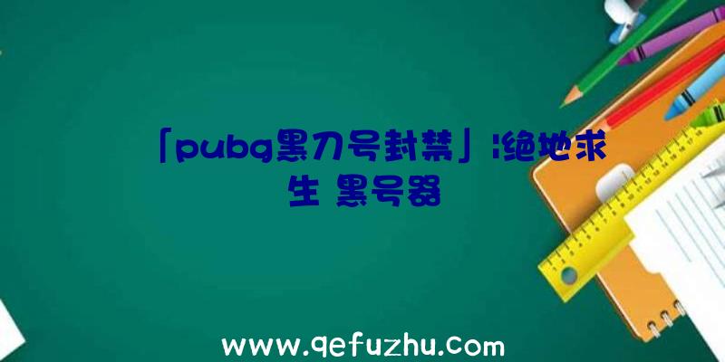 「pubg黑刀号封禁」|绝地求生